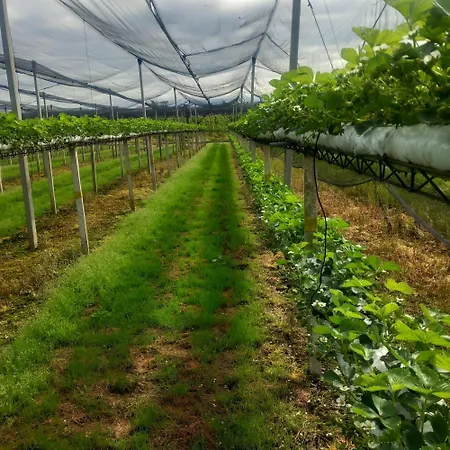 Feriehus Fondo Novelle La Casina *