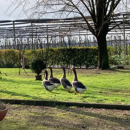 Casa vacanze Fondo Novelle La Casina Ferrara