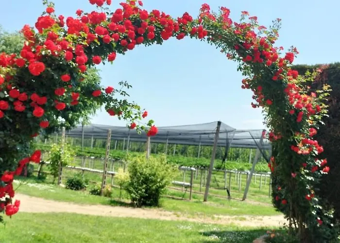 Fondo Novelle La Casina Casa vacanze Ferrara