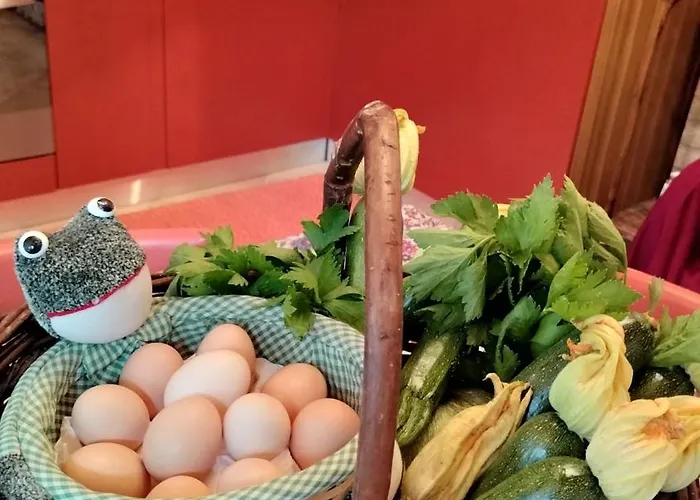 Fondo Novelle La Casina Ferrara