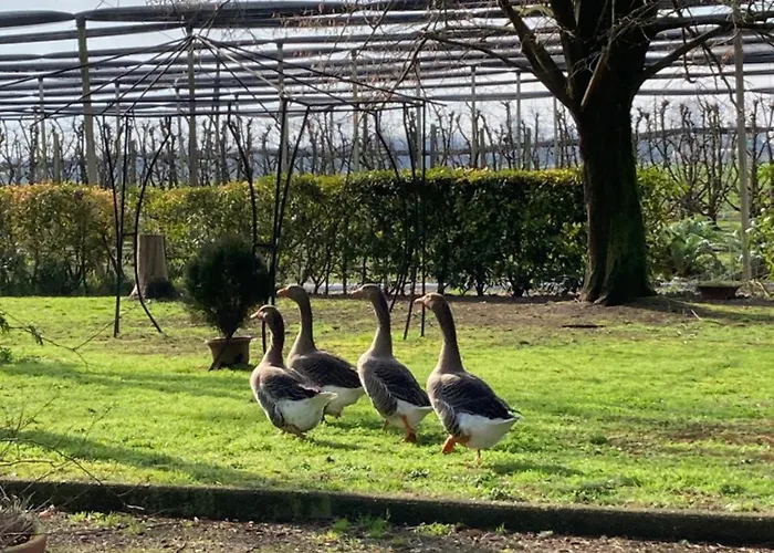 Casa vacanze Fondo Novelle La Casina Ferrara