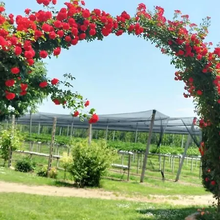 Fondo Novelle La Casina Nyaraló Ferrara