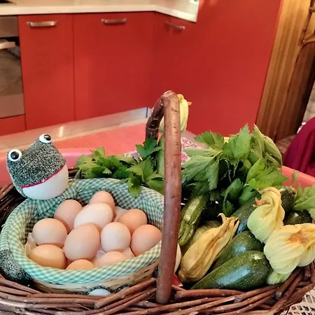 Fondo Novelle La Casina Ferrara