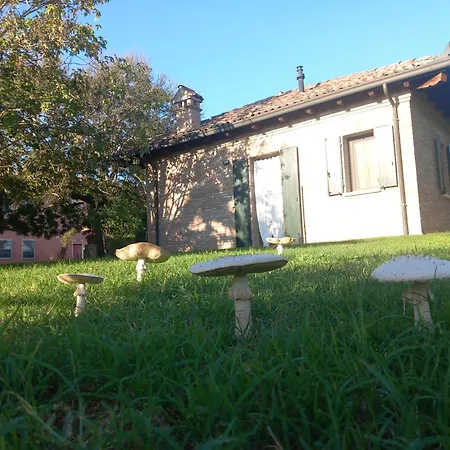 Fondo Novelle La Casina Ferrara