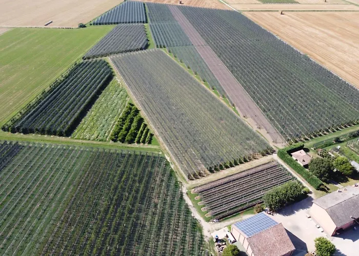 Fondo Novelle La Casina *