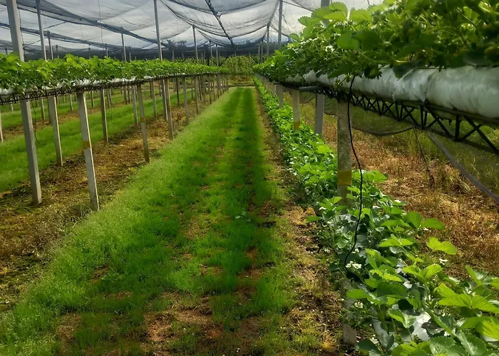 Dom wakacyjny Fondo Novelle La Casina *